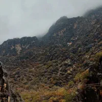 13هکتار-زمین-جهت-اجاره-فصل-بهاره