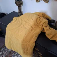 کاپشن جنس خوب درحدنو|لباس|چهاردانگه (تهران), |دیوار