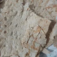 نون خشک