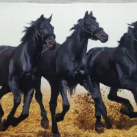 تابلو فرش،پادری