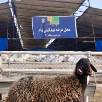 جایگاه شهرداری