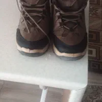 کفش کوهنوردی