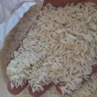 هاشمی بشرط