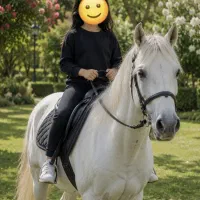 آتلیه آنلاین