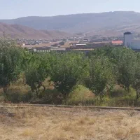 باغچه ۳۰۰متری تهرانپارس شرقی