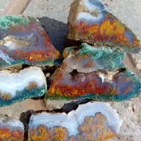 پک ۶ اسلایسی شجر س قلعه