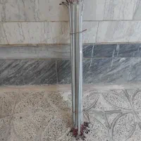 ریسه شاخه ای