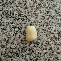 نگین گبری|جواهرات|فردوس (خراسان), |دیوار