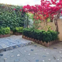 بدون حضور مالک تکواحدی ۱۳۰ متر ۲ خواب