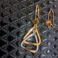 گوشواره گمشده