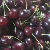 گیلاس
