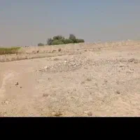 11000م-زمین-سند-شش-دانگ-نزدیک-جی-شیر