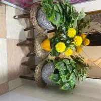 گل واستند حصیری