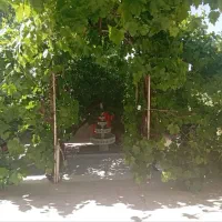 فروش منزل ویلایی در شهرستان بافت