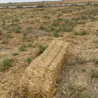 کاه شالی کمل