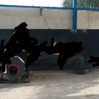 تابلو آلمینیوم با شاسی
