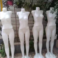 مانکن