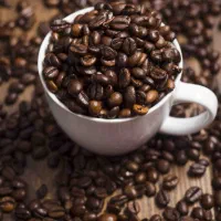 بازاریاب و ویزیتور