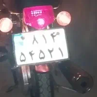 پلاک موتورگم شده پ