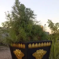 گلدان و نرده باغ و باغچه (سنگ مصنوعی)