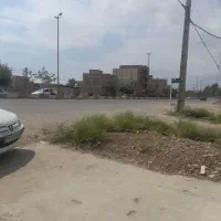 زمین تجاری ۲۵۰ متری در دانه های روغنی