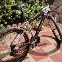 ویوا کانکورد