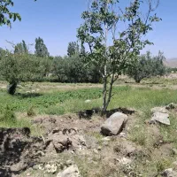 نیازمند کشاورز