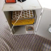 دستگاه جوجه کشی