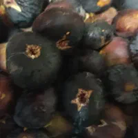 انجیر سیاه شیرین