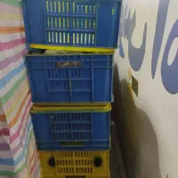 سبد|حراج|سنندج, |دیوار