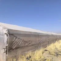 گلخانه|فروش دفتر صنعتی، کشاورزی، تجاری|خمین, |دیوار