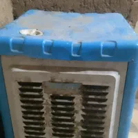 کولرابی