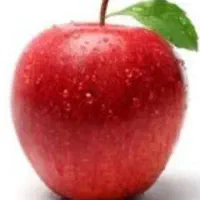 همایش رایگان سبک زندگی سالم