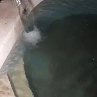 آبرسانی زیر سطحی باغ وباغچه با کمترین مصرف آب