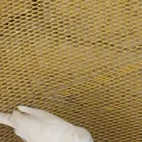مرغ عشق