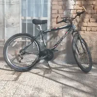 چرخ|دوچرخه، اسکیت، اسکوتر|تربتحیدریه, کلاته توکلی|دیوار