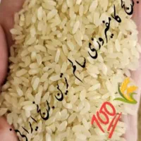 برنج وخورده برنج کامفیروزی درجه یک|خوردنی و آشامیدنی|شیراز, کوشک میدان|دیوار