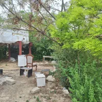 باغچه ۸۰۰ متری واقع در کهریزک، روستای سلمان آباد|فروش دفتر صنعتی، کشاورزی، تجاری|کهریزک, |دیوار