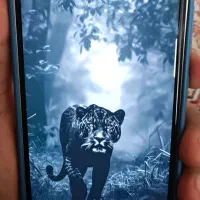 گوشی سامسونگ اس۲۳اف ای ویتنام