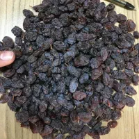 کشمش ابگیری افتابی سایه خشک شیره انگور شانی شرابی|عمده‌فروشی|تهران, میدان میوه و تره‌بار مرکزی|دیوار