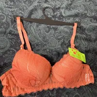 لباس زیر|لباس|مشهد, مصلی (کارمندان اول)|دیوار