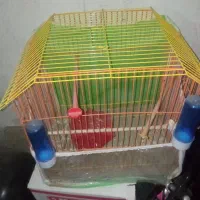 قفس سالم و نو|لوازم جانبی حیوانات|ایرانشهر, |دیوار