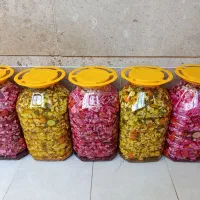 انواع ترشی خونگی