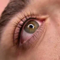 اموزش و خدمات ناخن مژه تتو بافت پروتئین تراپی|خدمات آرایشگری و زیبایی|تهران, فرزانه|دیوار