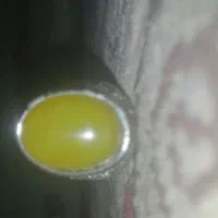 دو عدد انگوشتر زیبا