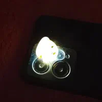 سنگ های زینتی|کلکسیون اشیاء عتیقه|تهران, باغ خزانه|دیوار