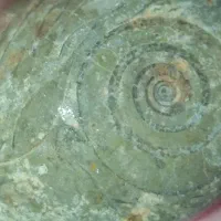 یک عددفصیل چندهزارساله