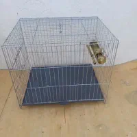 قفس درحد نو با جا ابی جا دونی