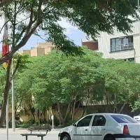 پلاک زمین شمالی ۱۳۵متری با پروانه ساخت(نگارستان)