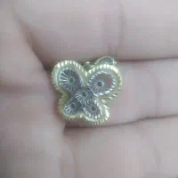 گوشواره گم شده